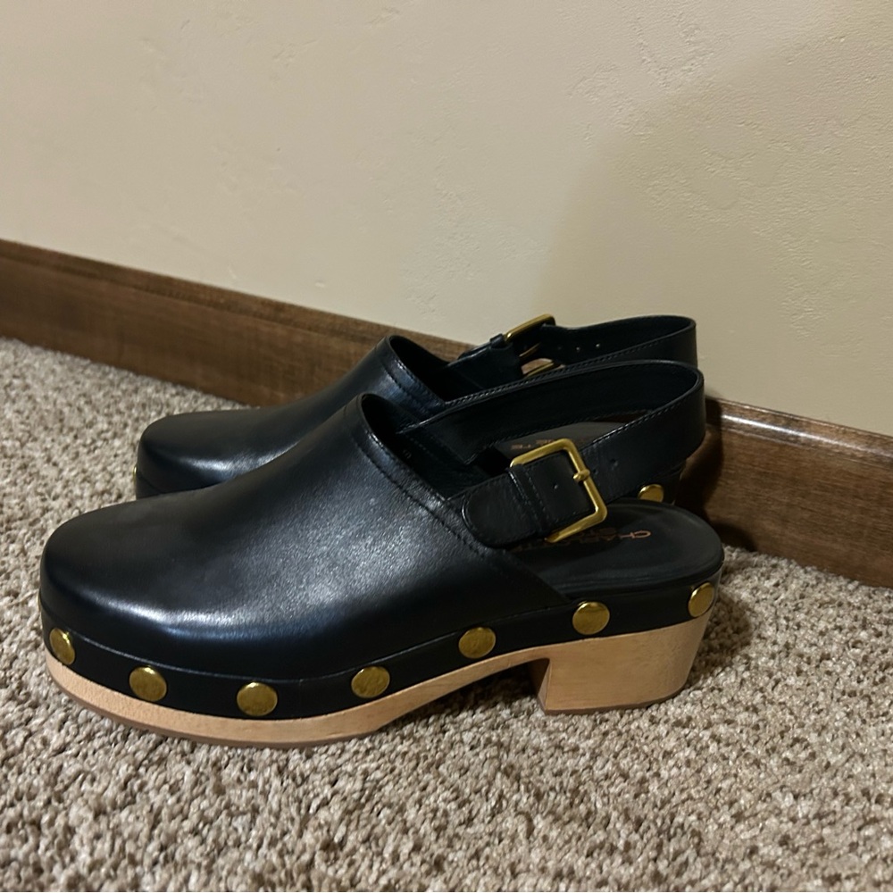 Charlotte Stone Black and Gold Mules with Wooden Sole